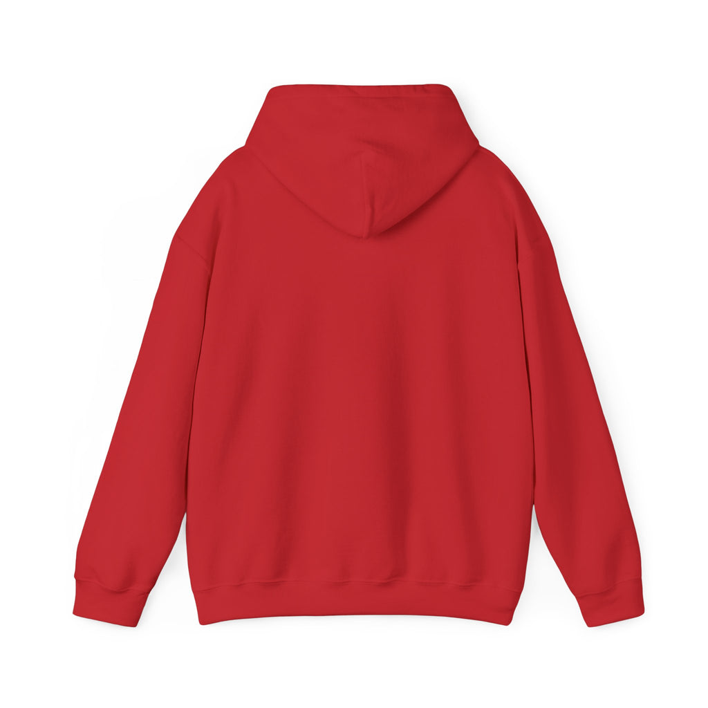 Hoodie – ‘Don’t Squat With Your Feet’ Funny Gym Quote Pullover