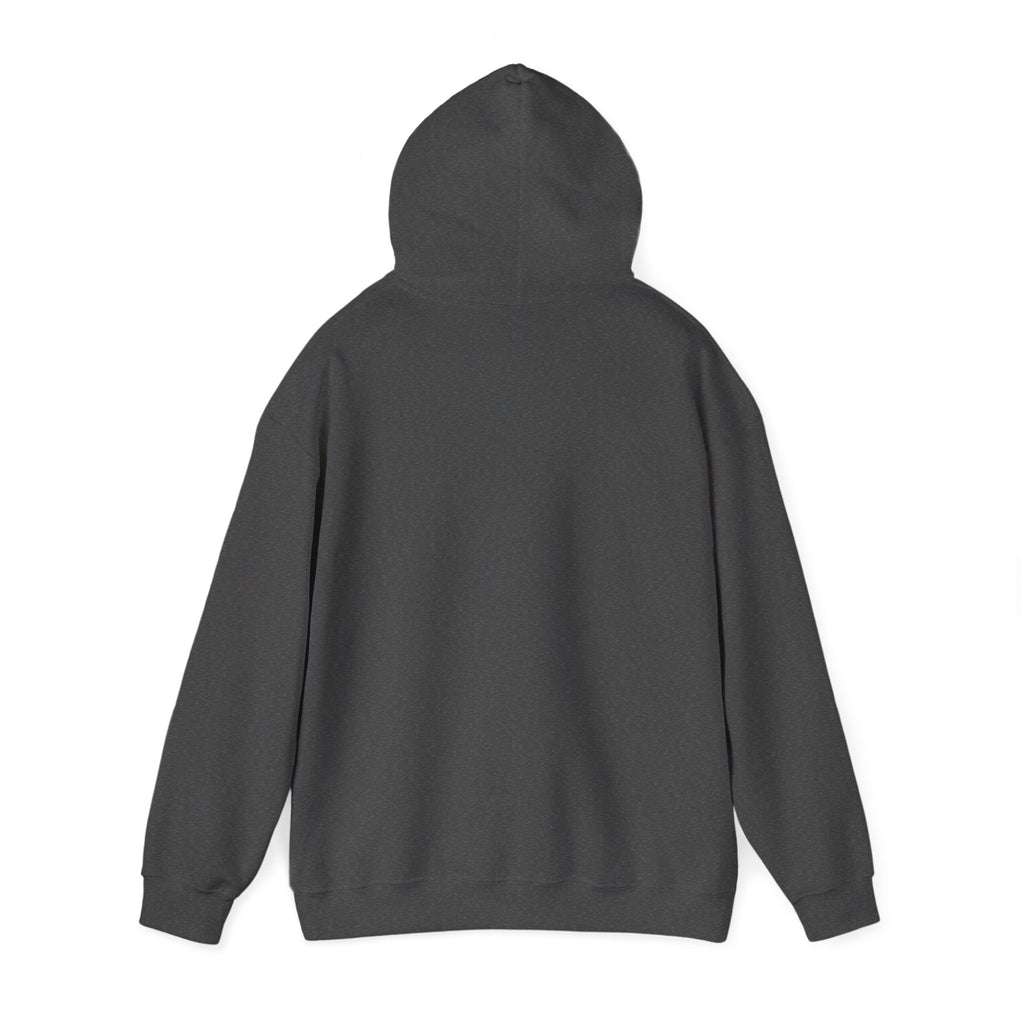 Hoodie – ‘Don’t Squat With Your Feet’ Funny Gym Quote Pullover