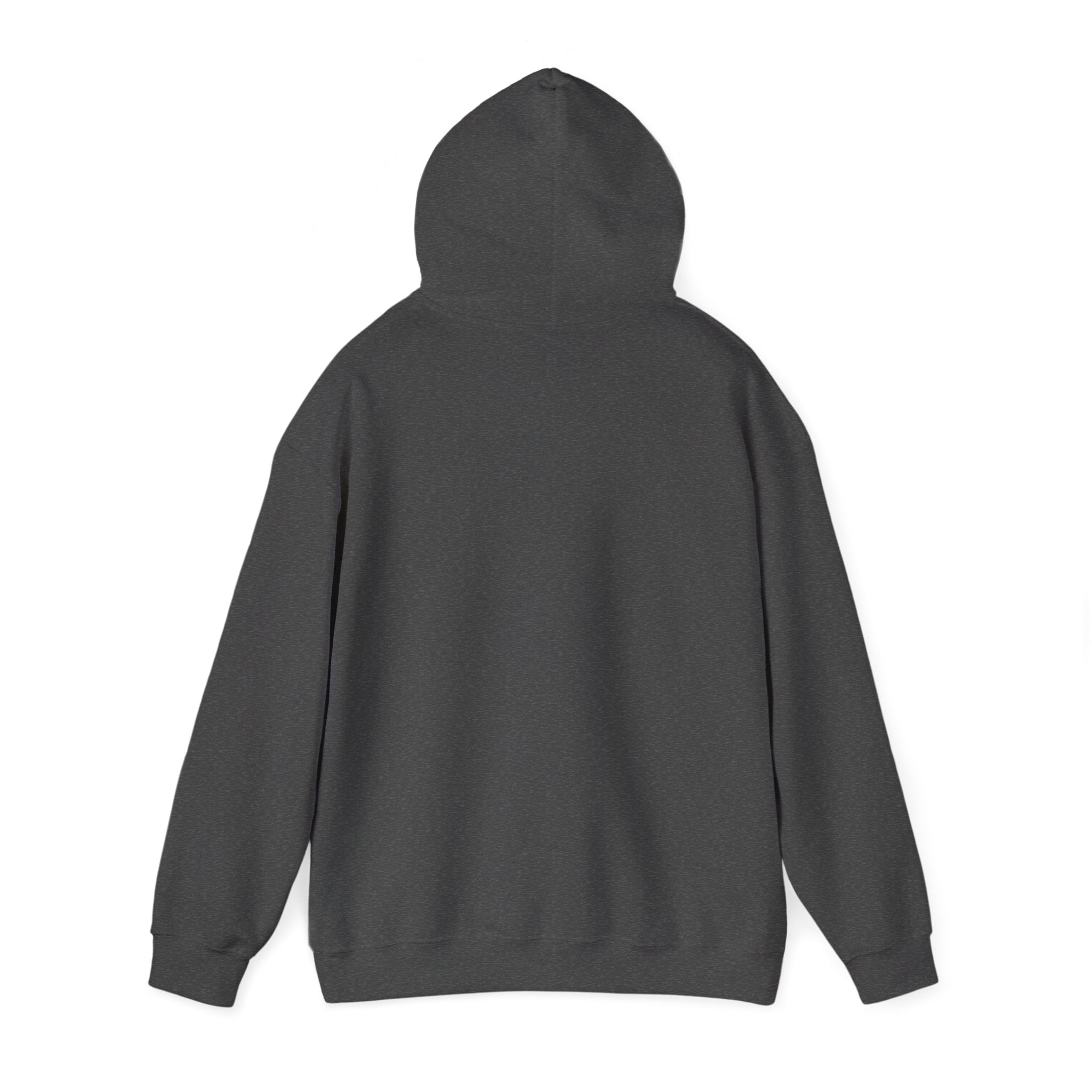 Hoodie – ‘Don’t Squat With Your Feet’ Funny Gym Quote Pullover