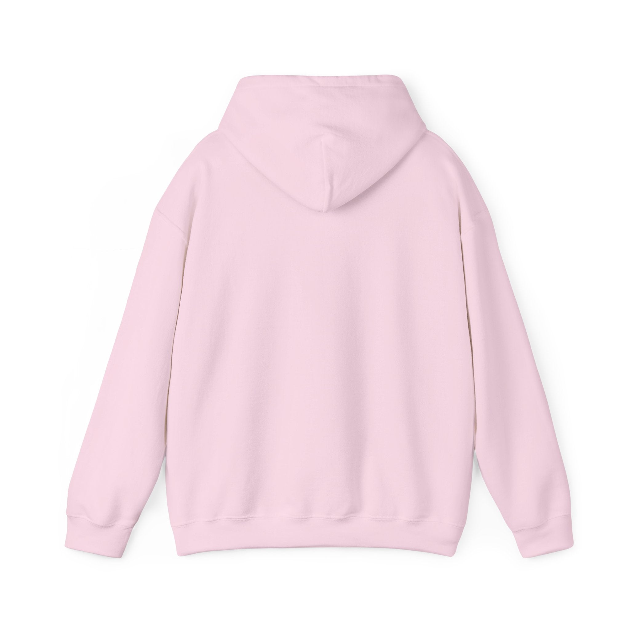 Hoodie – ‘Don’t Squat With Your Feet’ Funny Gym Quote Pullover