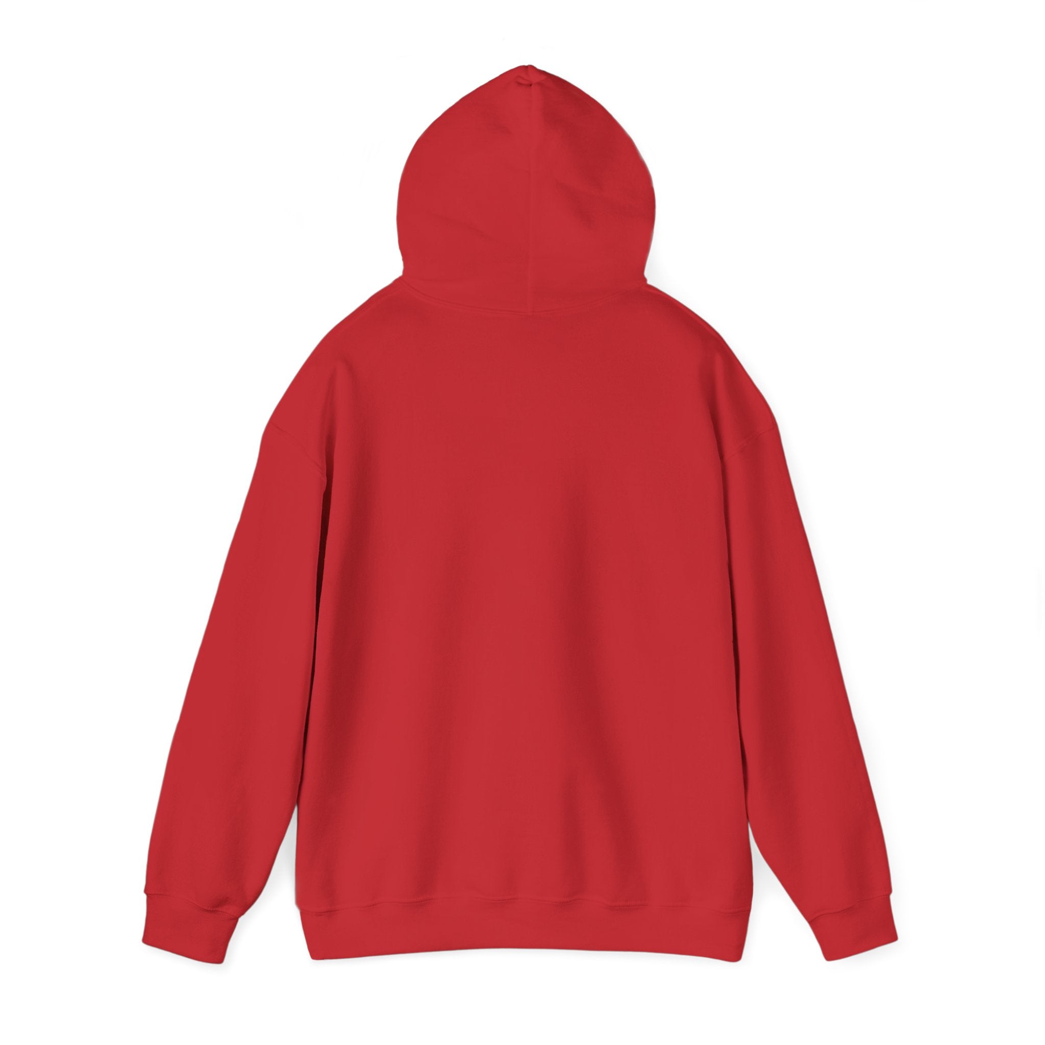 Hoodie – ‘Don’t Squat With Your Feet’ Funny Gym Quote Pullover
