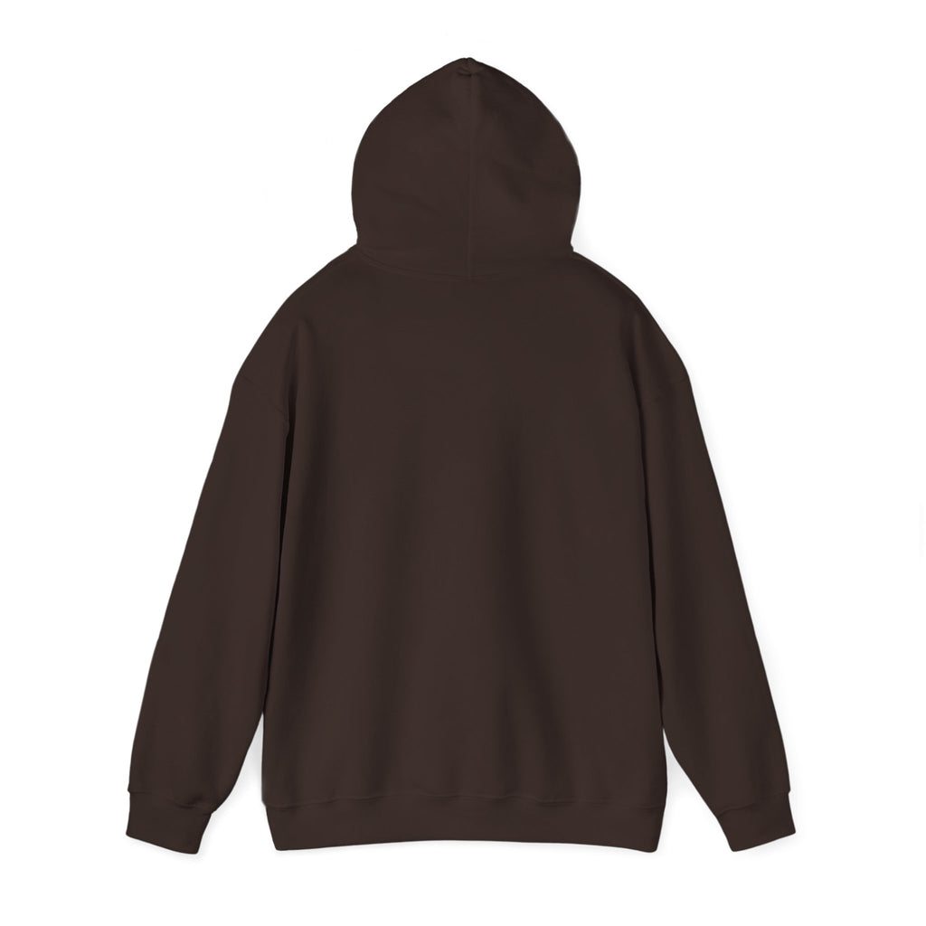 Hoodie – ‘Don’t Squat With Your Feet’ Funny Gym Quote Pullover