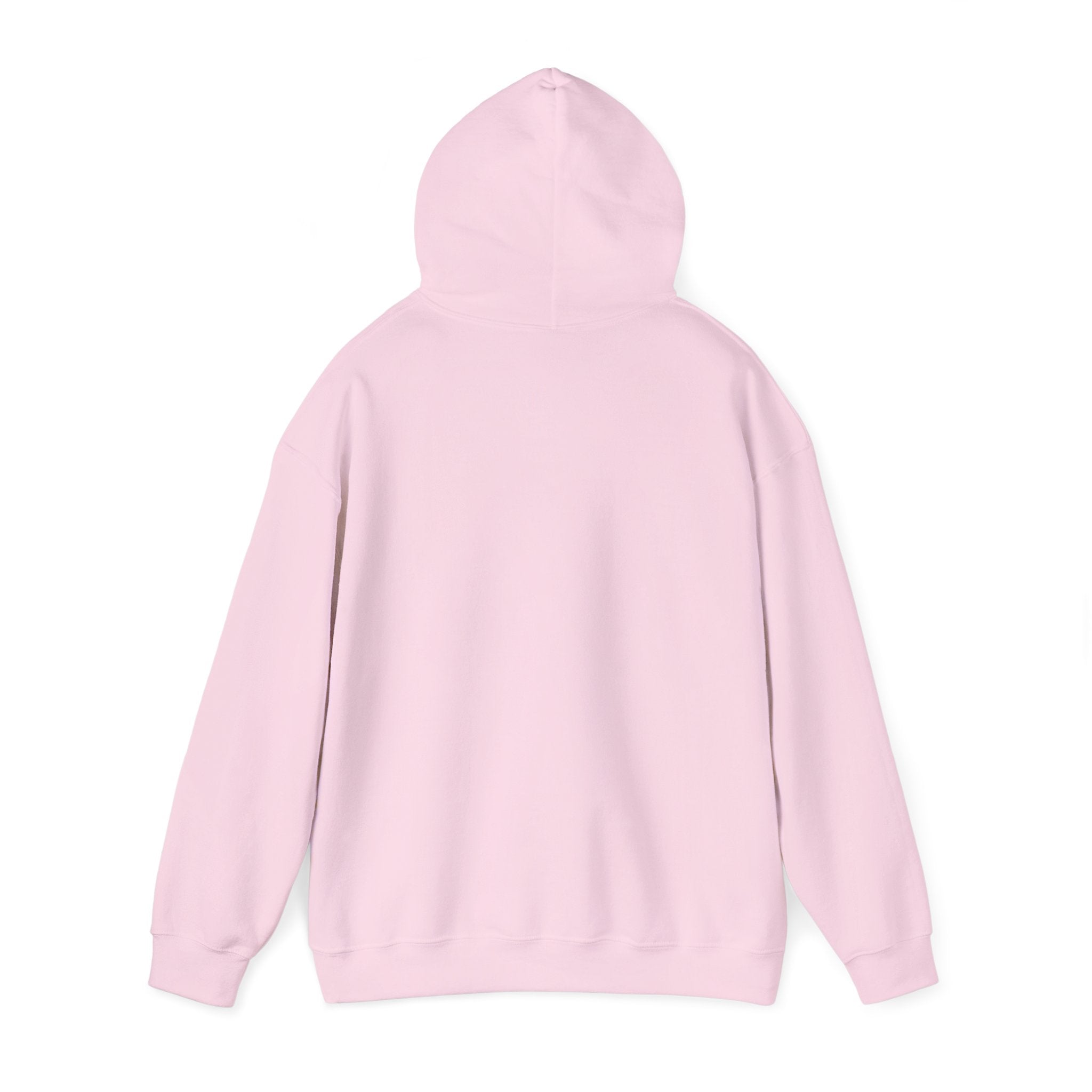 Hoodie – ‘Don’t Squat With Your Feet’ Funny Gym Quote Pullover