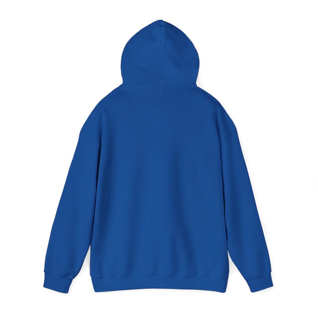 Hoodie – ‘Don’t Squat With Your Feet’ Funny Gym Quote Pullover