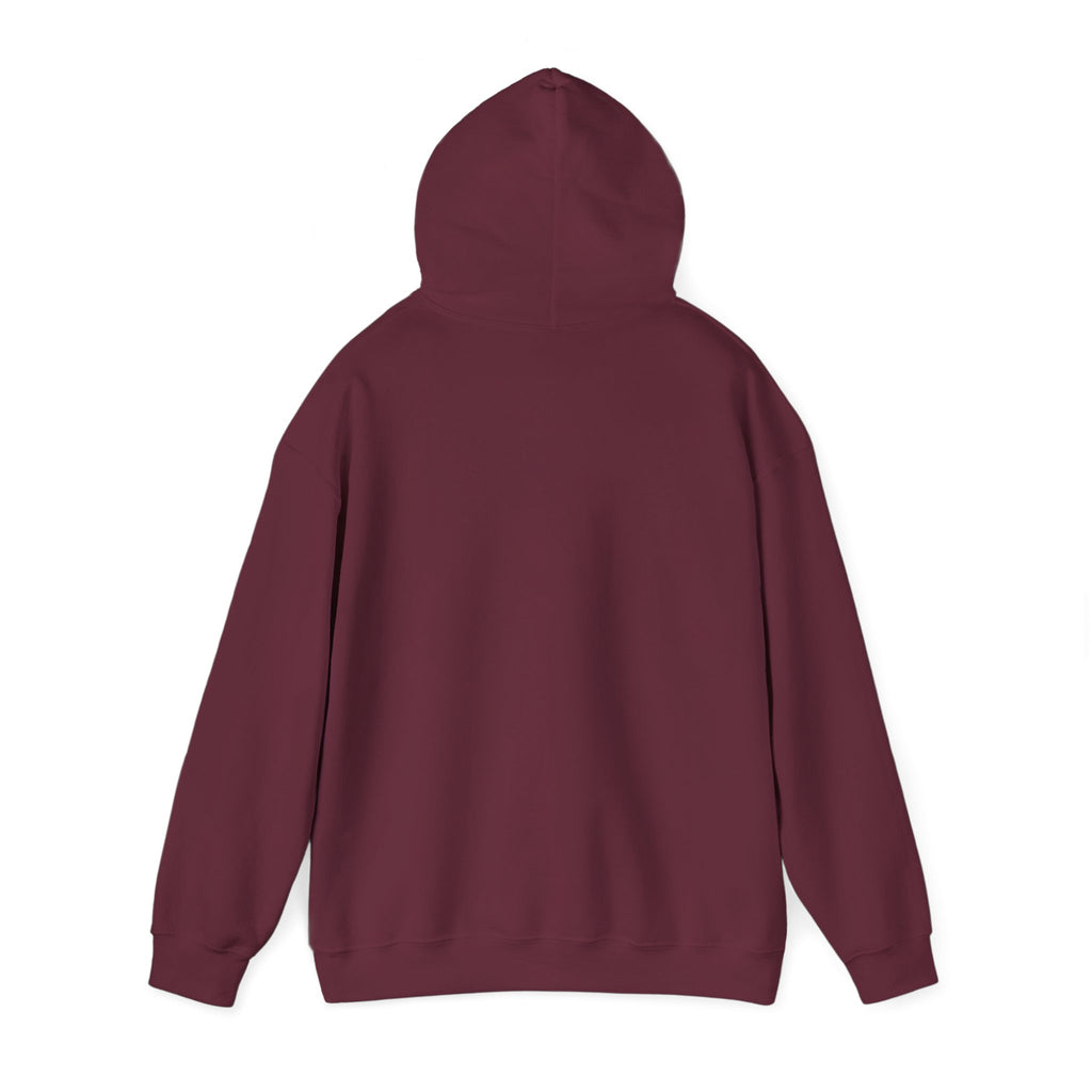 Hoodie – ‘Don’t Squat With Your Feet’ Funny Gym Quote Pullover